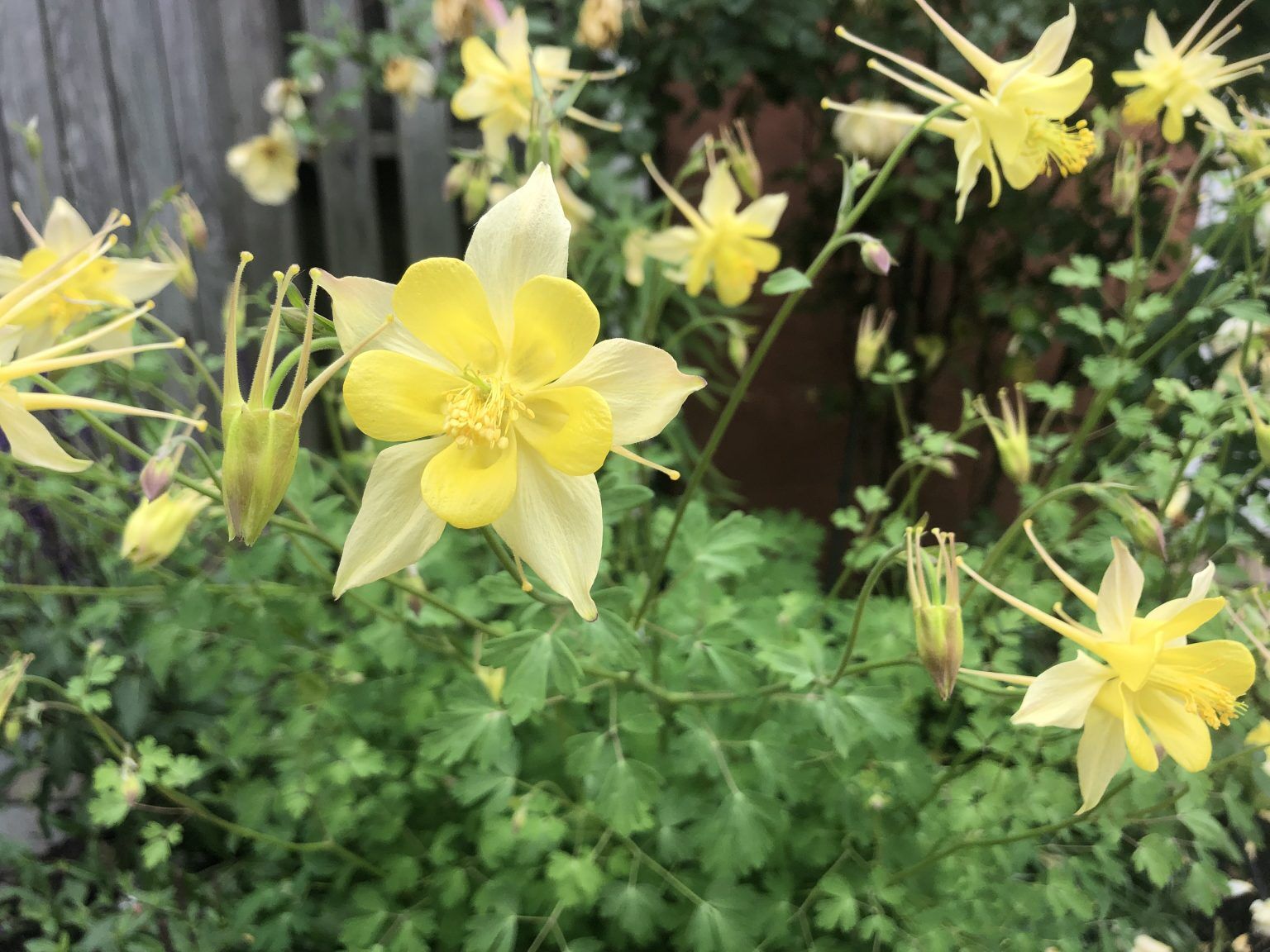IMG_8809-1536x1152.jpeg